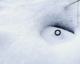 transducer heating from SECO Sensor